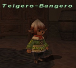 Teigero-Bangero.jpg