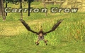 Thumbnail for version as of 10:22, 3 October 2008