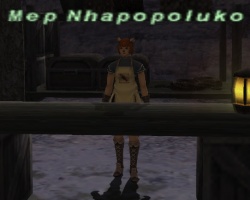 Mep Nhapopoluko.jpg