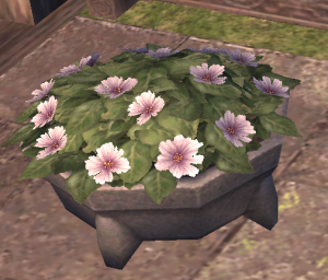 White Viola Pot.png