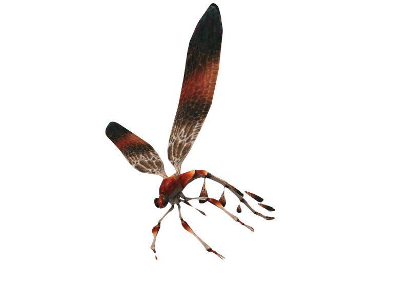 File:Fly 2.png