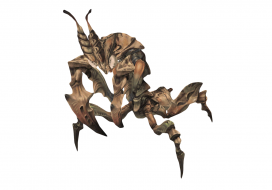 Mantid 3.png