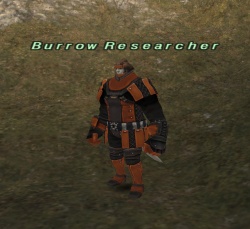 Burrow Researcher (Batallia).jpg