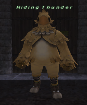 CEXI Riding Thunder.png