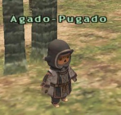 Agado-Pugado.jpg