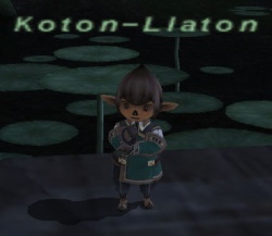 Koton-Llaton.jpg