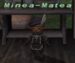 Minea-Matea.jpg