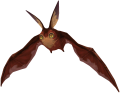 Thumbnail for version as of 20:02, 26 December 2023