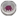 Venom Dust icon.png