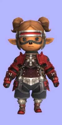 Furia Jerkin Set.jpg