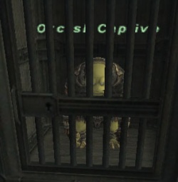 Orcish Captive.jpg