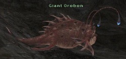 Giant Orobon.jpg