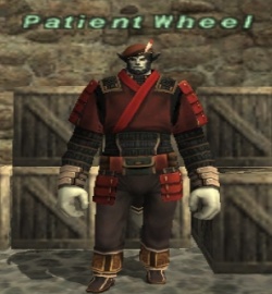 Patient Wheel.jpg