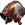 Ebers Cap icon.png