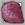 Rolsin icon.png