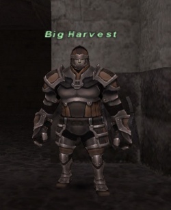 Big Harvest.jpg