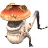 Category-Funguar.jpg