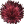 Bibiki Urchin icon.png