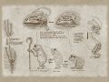 Thumbnail for version as of 02:15, 9 October 2024