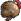 Valoredge Head icon.png