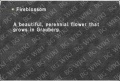 Thumbnail for version as of 00:05, 19 August 2020