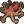 Contortopus icon.png