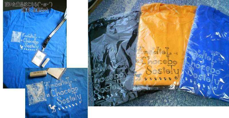 File:TGS2006 VcsShirts.jpg