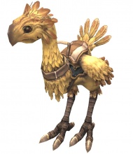 Category-Chocobo.jpg