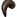 Gnole Claw icon.png