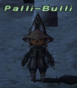 Palli-Bulli.jpg